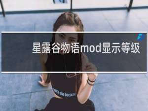 星露谷物语mod显示等级