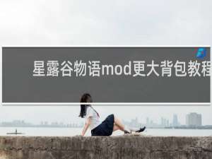 星露谷物语mod更大背包教程