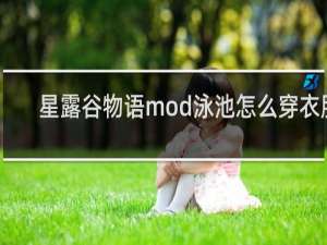 星露谷物语mod泳池怎么穿衣服
