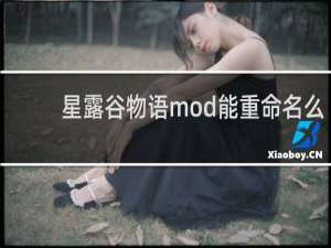 星露谷物语mod能重命名么