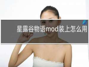 星露谷物语mod装上怎么用