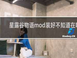 星露谷物语mod装好不知道在哪