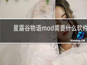 星露谷物语mod需要什么软件