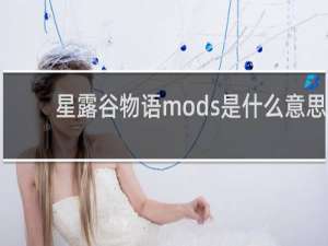 星露谷物语mods是什么意思