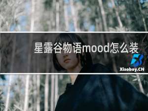 星露谷物语mood怎么装