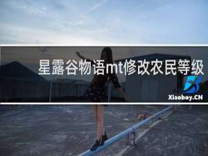 星露谷物语mt修改农民等级