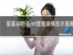 星露谷物语mt管理器修改衣服属性