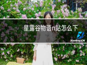 星露谷物语n站怎么下