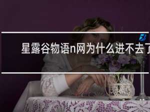 星露谷物语n网为什么进不去了