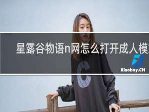 星露谷物语n网怎么打开成人模式