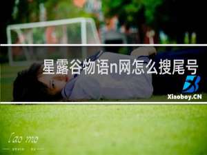 星露谷物语n网怎么搜尾号