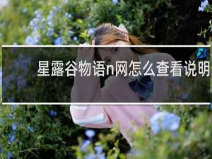 星露谷物语n网怎么查看说明