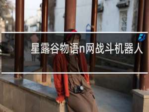 星露谷物语n网战斗机器人