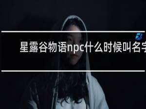 星露谷物语npc什么时候叫名字