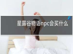 星露谷物语npc会买什么