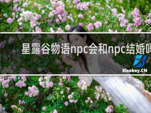 星露谷物语npc会和npc结婚吗
