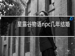 星露谷物语npc几年结婚