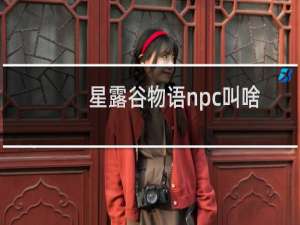 星露谷物语npc叫啥