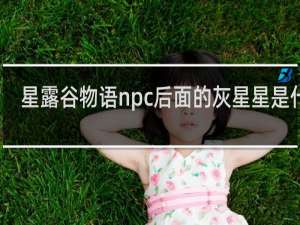 星露谷物语npc后面的灰星星是什么