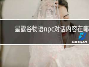 星露谷物语npc对话内容在哪