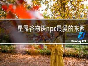 星露谷物语npc最爱的东西