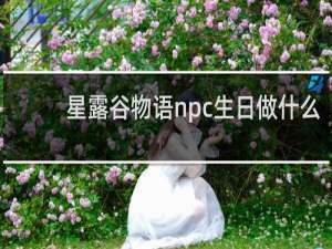 星露谷物语npc生日做什么