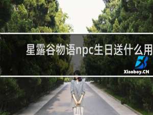 星露谷物语npc生日送什么用
