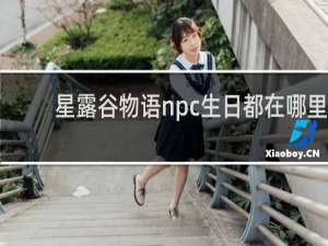 星露谷物语npc生日都在哪里