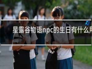 星露谷物语npc的生日有什么用