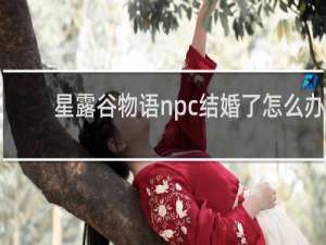 星露谷物语npc结婚了怎么办