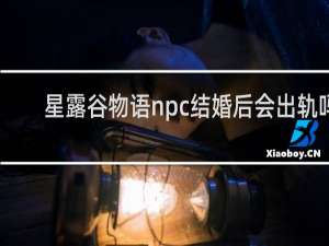 星露谷物语npc结婚后会出轨吗