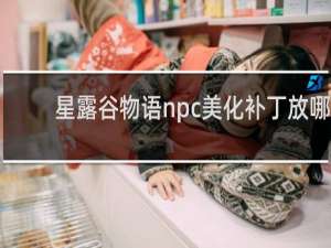 星露谷物语npc美化补丁放哪