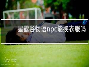 星露谷物语npc能换衣服吗