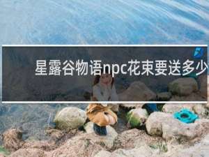 星露谷物语npc花束要送多少