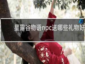 星露谷物语npc送哪些礼物好