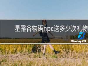 星露谷物语npc送多少次礼物