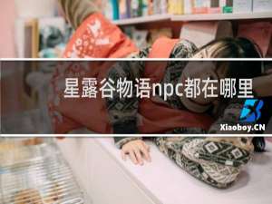 星露谷物语npc都在哪里