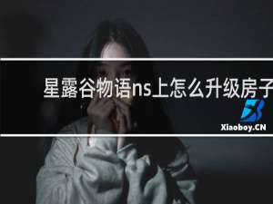 星露谷物语ns上怎么升级房子