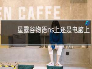 星露谷物语ns上还是电脑上