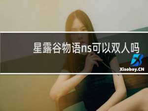 星露谷物语ns可以双人吗