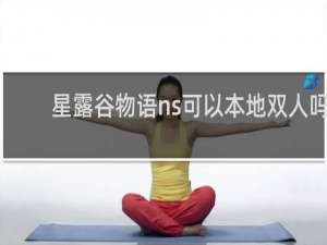 星露谷物语ns可以本地双人吗