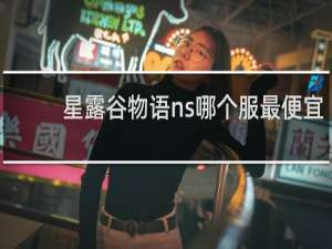 星露谷物语ns哪个服最便宜