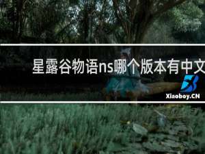 星露谷物语ns哪个版本有中文