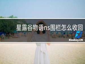 星露谷物语ns围栏怎么收回