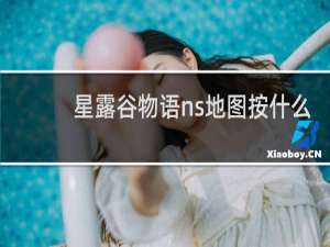星露谷物语ns地图按什么