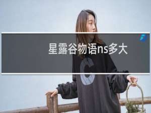星露谷物语ns多大
