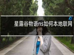 星露谷物语ns如何本地联网