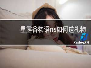 星露谷物语ns如何送礼物