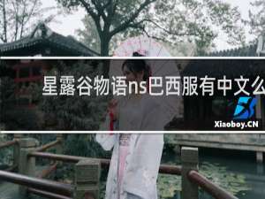星露谷物语ns巴西服有中文么