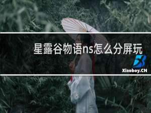 星露谷物语ns怎么分屏玩